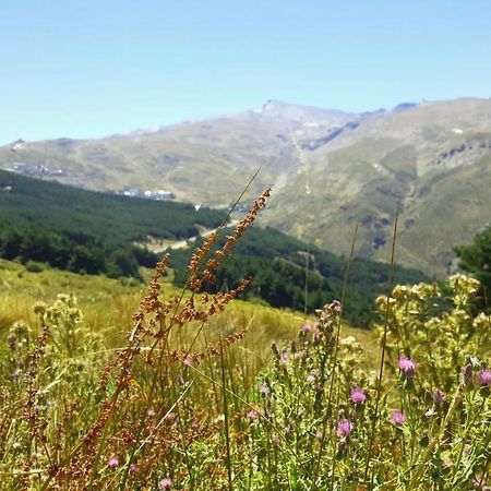 Apartament Duplex Acogedor Con Vistas Y Garaje Opcional Sierra Nevada Zewnętrze zdjęcie