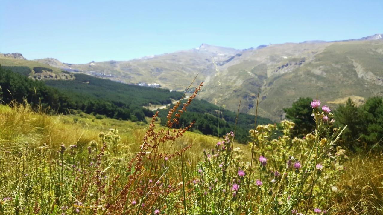 Apartament Duplex Acogedor Con Vistas Y Garaje Opcional Sierra Nevada Zewnętrze zdjęcie